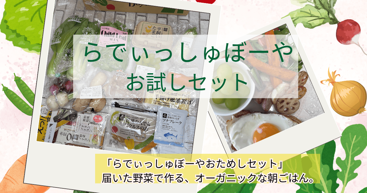 らでぃっしゅぼーやお試しセット